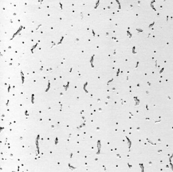 Потолок подвесной Board Bajkal 90RH 600х600х12мм (7,20м2)